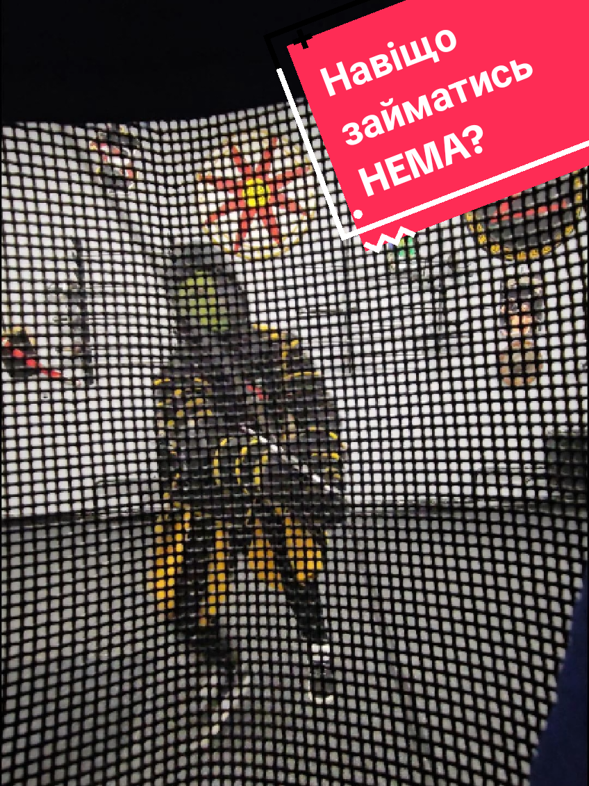 #hema  #фехтування  #хобі #спорт #україна 