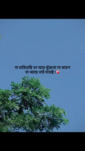 যা হারিয়েছি তা আর খুঁজবো না কারণ  যা আছে তাই যথেষ্ট !❤️‍🩹#foryou #trending #banglacaption #popularvideo #captionvedio 