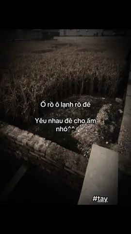 #thuhuong19th9 #xh @Như Quỳnh 🙄🫶vo