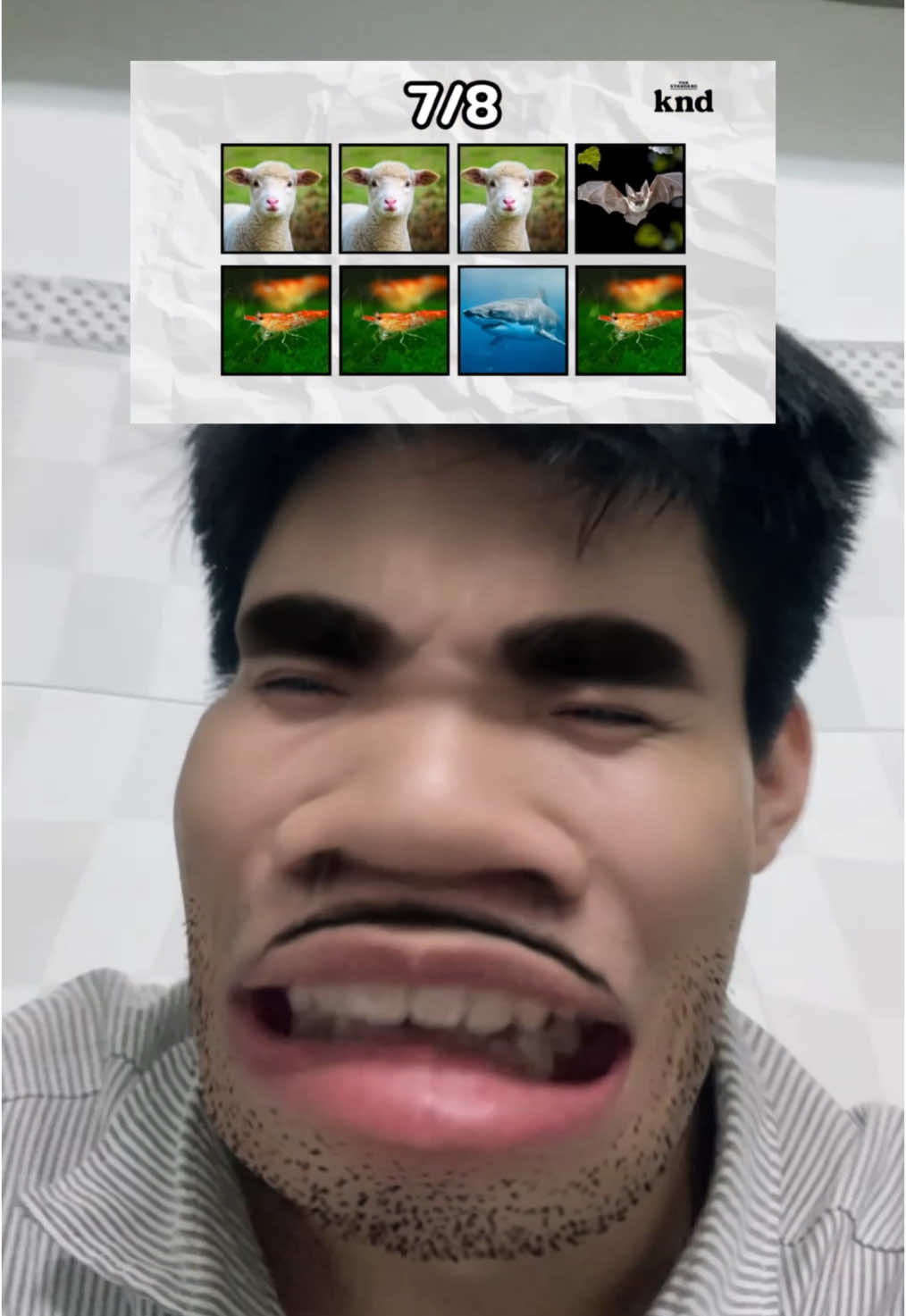 Trả lời @tôi là tôi t tưởng nó dễ #trixx #viral #meme #funny 