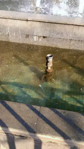 #اربيل #كردستان🇹🇯_دهوك_زاخو_اربيل🇹🇯 