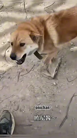 nam nhân , nam nhân #fyp #funny #xuhuong #viral #haihuoc 