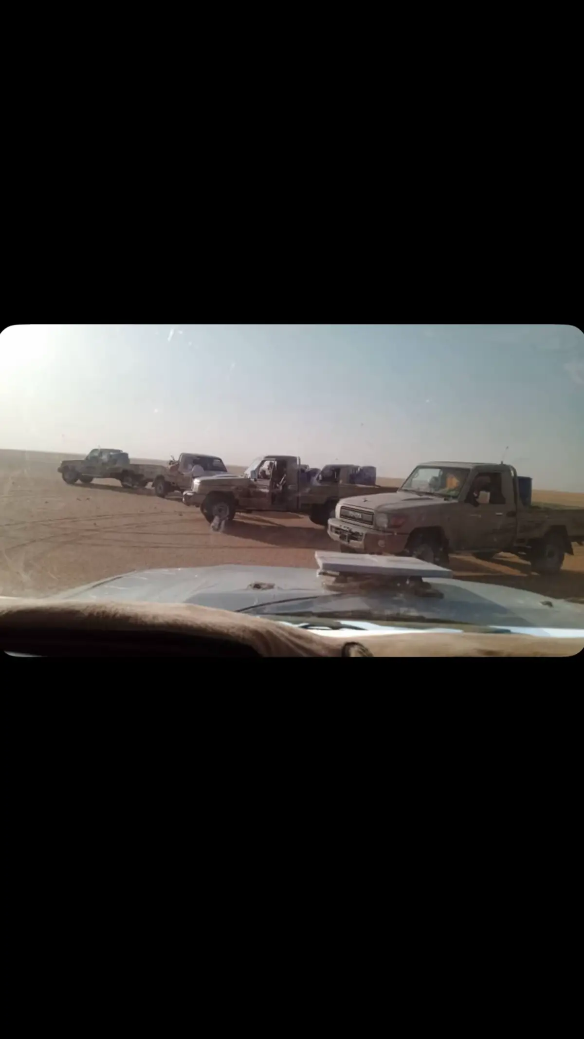 #الصيعر_ذياب_الصحراء 