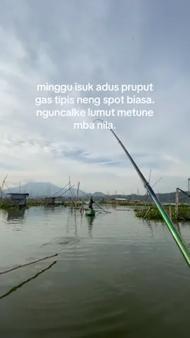 pirates+lumut=mbuwerut🎣🎣🤣🥷 #mancingsadboy #fishing_fighter🎣 #rwp #ambarawa24jam #rawapening 