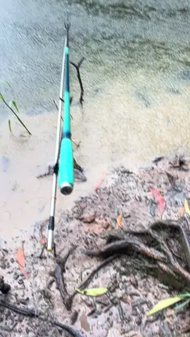 Ae muốn vô môn này phải luyện đc 3 tần công lực nha😂#caucagiaitri #caucatunhien #fishing #xuhuong #caomomfishing 