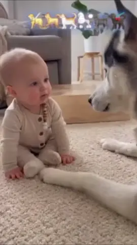 #dog #baby #bestfriend #cute #Love #foryou #usa🇺🇸 