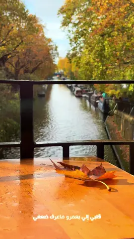 #لندن🇬🇧 #london #مطر #fyp #ملحم_زين 