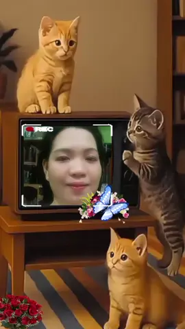 #tiktok  #Happy lng #aray q🥰🥰🥰