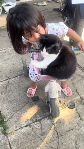 Kalian nonton VT ini lagi ngapain ??? Salam kenal dari kakak Ai dan Cery🙏🏻🥰❤️#fyppppppppppppppppppppppp #kucinglucu #kucingtiktok #kucingimut #masukberandafyp 