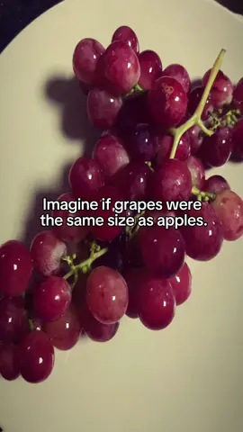 Imagine #grapes #fyp #imagine #pinterest #fürdich 