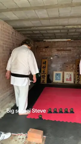 Sensei Steve #tywondoe #beast#comedy 
