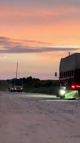 #trending #sawitontiktok #fyp 