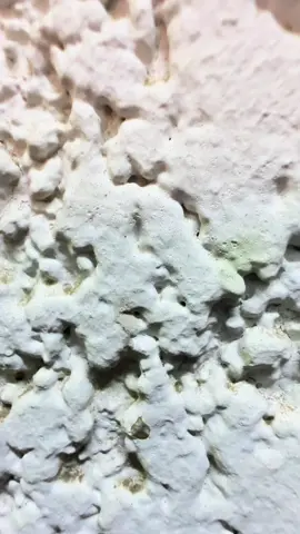 #اسوان_الاقصر_قنا_سوهاج_اسيوط_السودان #عمر #تحياتي_لجميع_المشاهدين_والمتابعين 