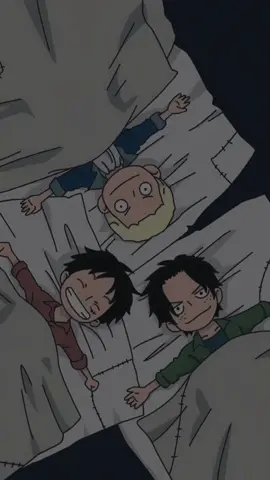 Memories One Piece #onepiece #luffy #ace #sabo #CapCut 