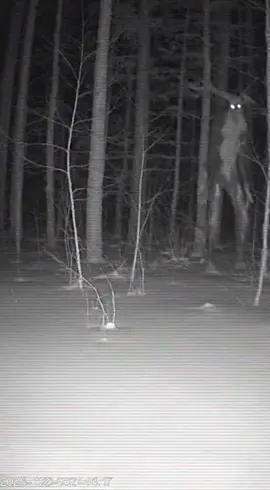 #are #scary #cctv #fy #skinwalker Wrndigo This is really weird