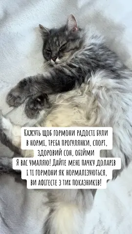 Несіть долари #гуморукраїнською #гуморукраїна #гормони #ендокринолог #котикиприколи 
