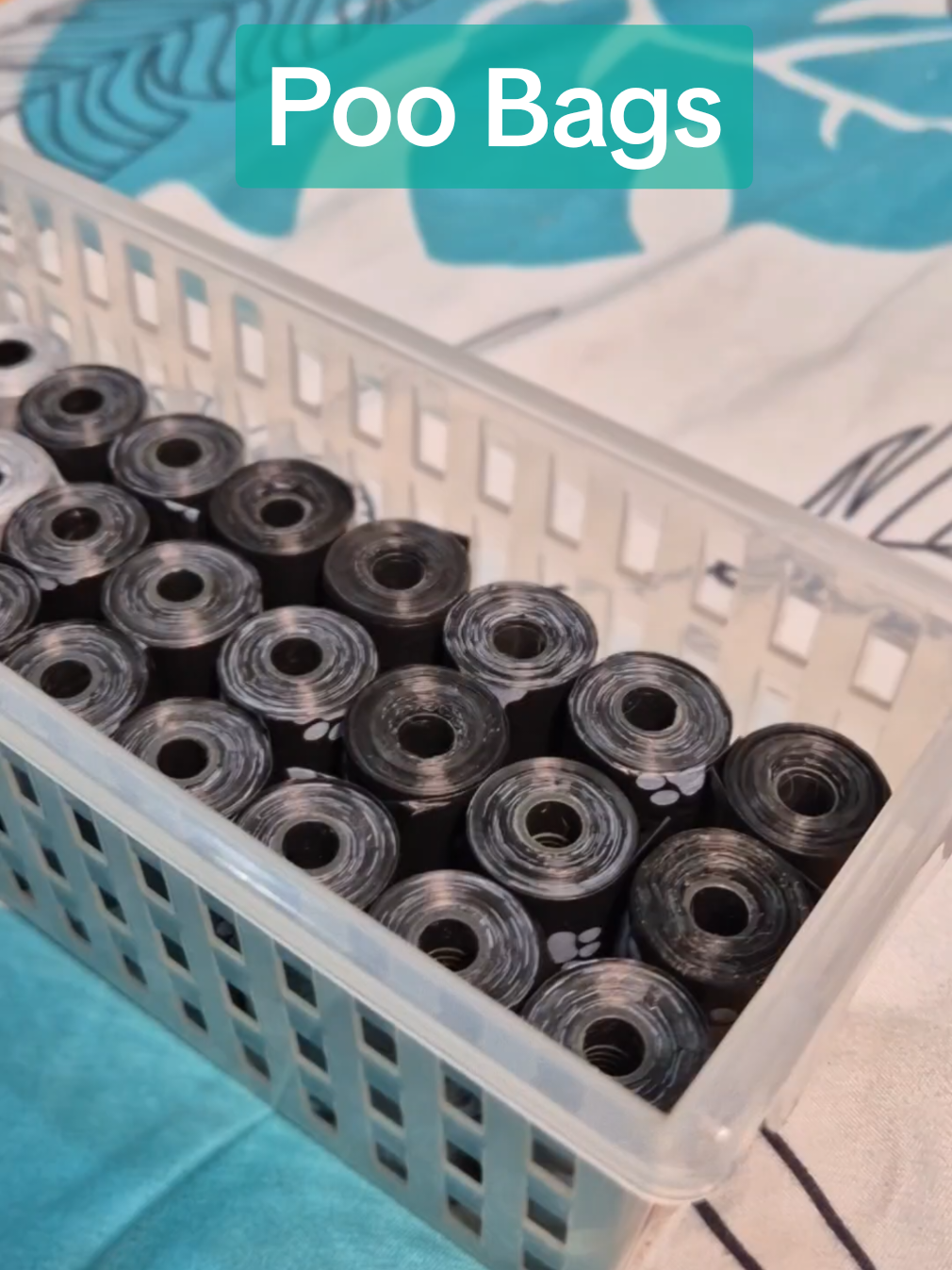 nanadya pa yang mga bebe eh, kung kelan ka naubusan ng plastic saka maglalabas ng loob sa harap ng mga tao 😆 #TrashBagForDogs #PetTrashBag #WasteBag #PlasticForWasteofDogs #disposableplasticfordogs 