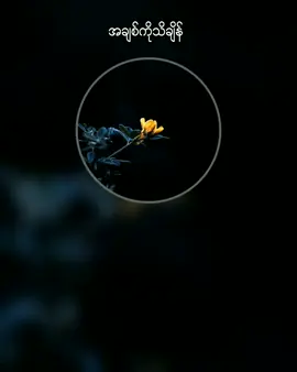 #tiktoktrend #အချစ်ကိုသိချိန်▶မီးမီးခဲ #music #lyrics #Zayar5205 