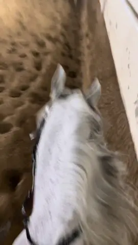 صبوحه#اكسبلور #4u #fyp #لايك #🤍 