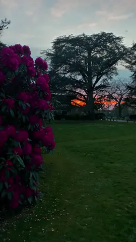 POV: You’re studying at the University of Roehampton 💚📚🏫🏡 🎥 @london_byziko 