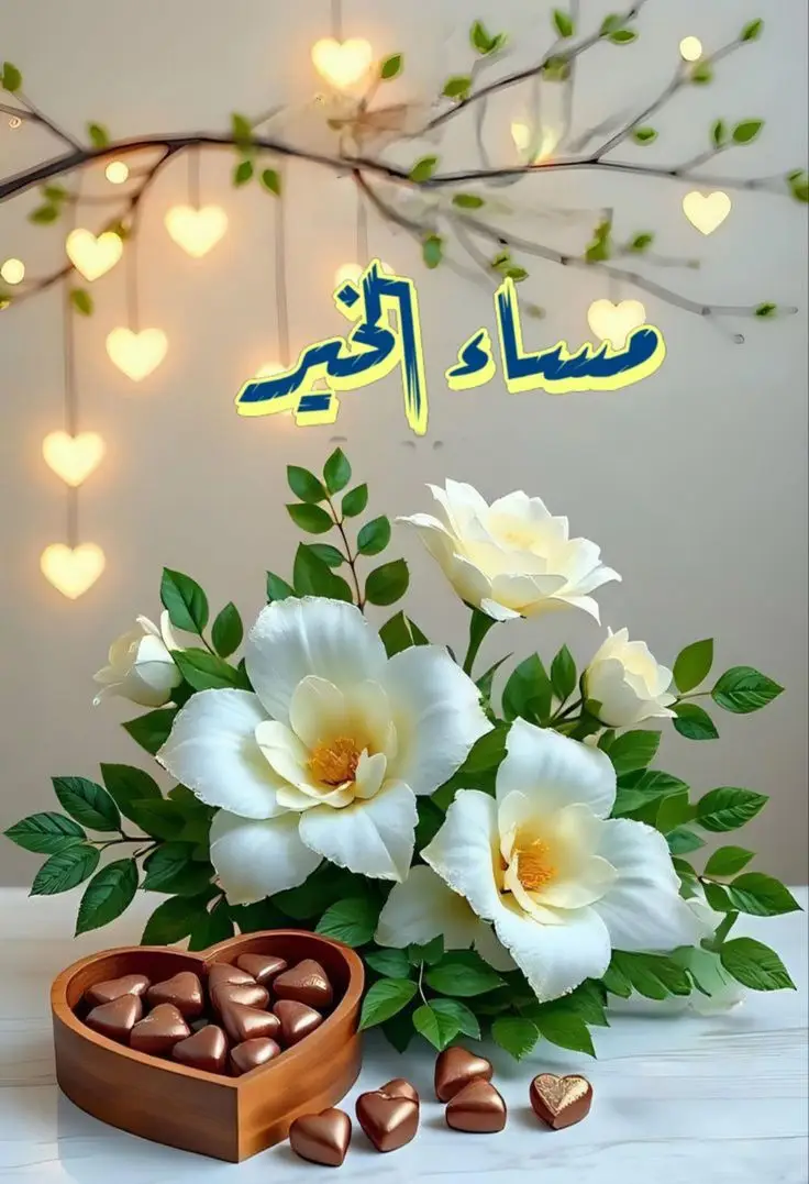 #مساءالخير #مساء_الخير🌷 #مساء_الخير🌹 #مساء_الخير 