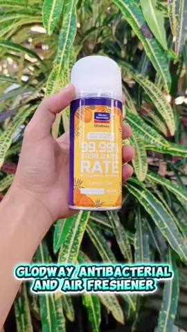 Glodway Antibacterial and Air Freshener na pwede sa Kwarto o Sasakyan 