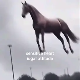 i live for these horse pictures #relatable #fyp #trend #foryoupage #reposts 