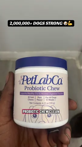 They don’t ask for much—just love, loyalty, and care. 🐶❤️ #doghealth #petwellness #petparents #doglover #tiktokshop 