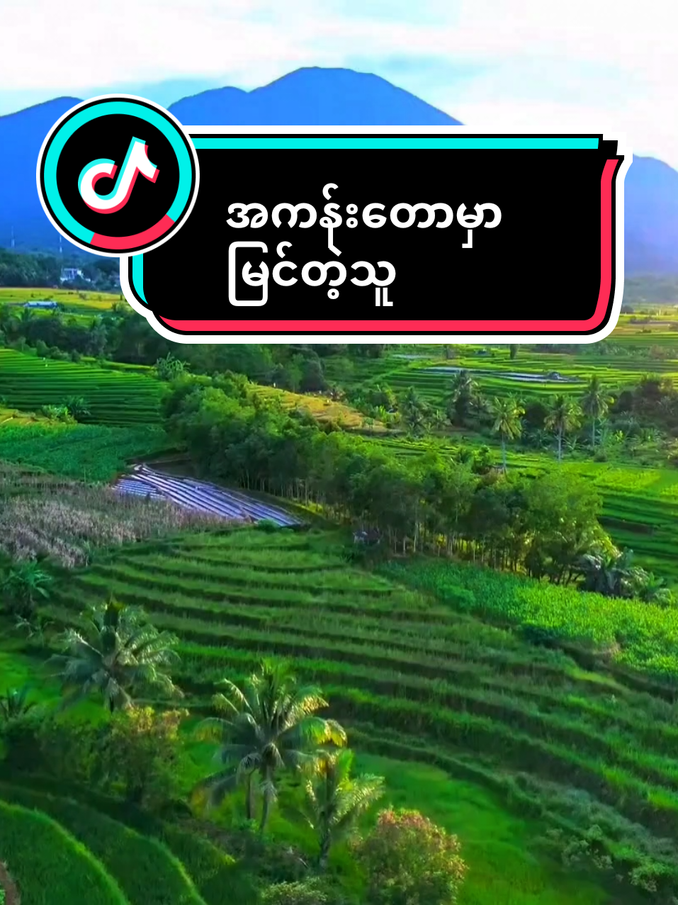 #creatorsearchinsights #အကန်းတောမှာမြင်တဲ့သူ #သစ္စာရွှေစည်ဆရာတော်_အရှင်ဥတ္တမ #တရားတော်များနာယူနိုင်ပါစေ🙏 #foryoupage 