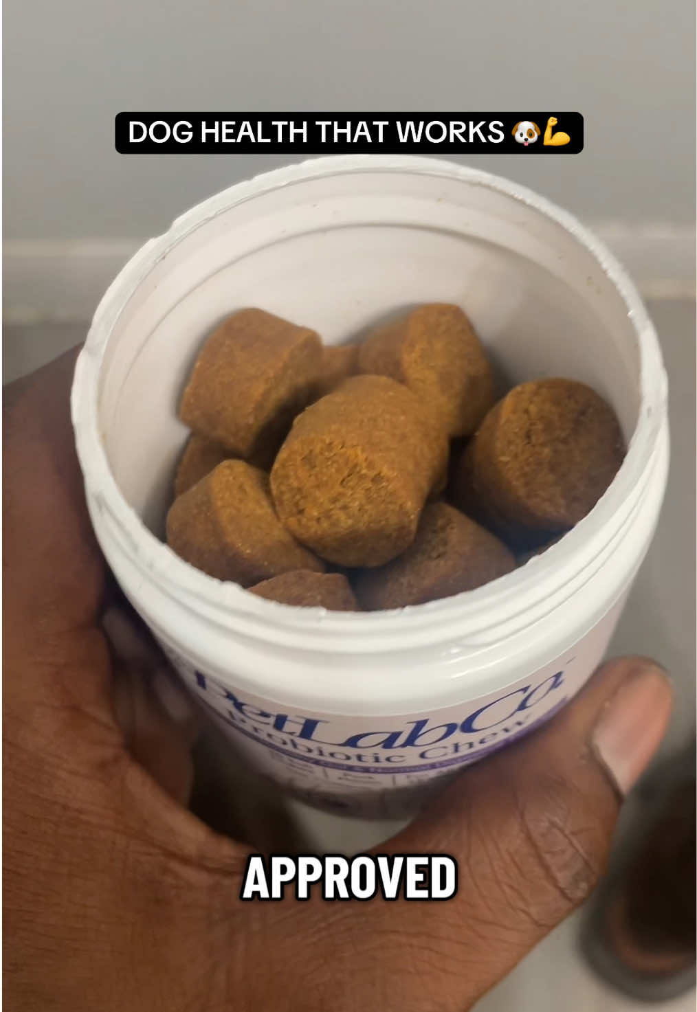 Your dog would never give up on you—don’t give up on them. 🐶❤️ #doghealth #petparents #loyaldog #petcare #tiktokshop 