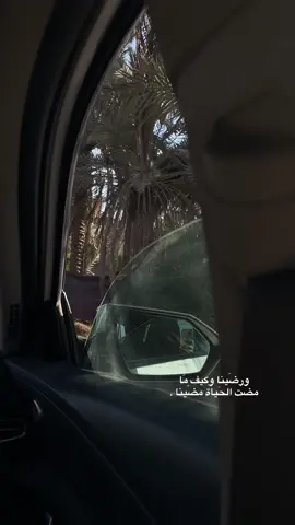 ورضَينا وكيف مَا مضت الحَياة مضَينا .#تصويري📸 #يومياتي #حله_بابل 