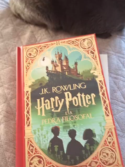 Uma nova edição impressionante de Harry Potter e a Pedra Filosofal! Experimente a história de magia mais amada do mundo de uma nova forma. Totalmente ilustrada em cores brilhantes, com capa dura e elementos interativos artesanais em papel, criados pelo premiado estúdio MinaLima, essa nova versão do primeiro livro da série Harry Potter vai encantar os leitores de todas as idades!  #harrypotter #harrypotterpedrafilosofal #harrypotterilustrado#minalimaharrypotter #livro #book #Rocco