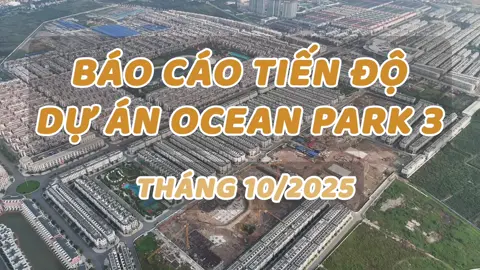 cập nhật tiến độ ocean park 3 #dongdoland #masterisehome #bds 
