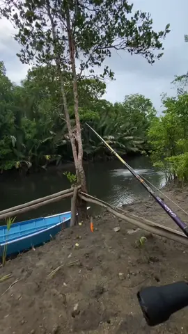 Casting muara Line bass,,tidak heran kalau black bass di sini tenaganya kuat dan gemuk2,, #castingmuara #mancingcasting #blackbass #castingfishing🎣 