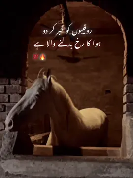 Ahaa🔥💯Aya کمبوہ 💯🔥#CapCut #fypシ゚viral #foryou #freeplastine🇵🇸❤️ 