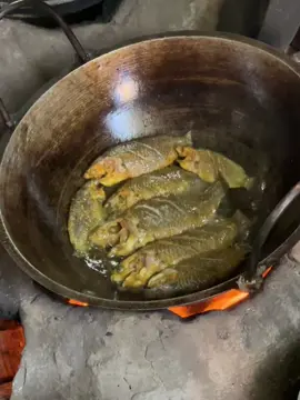 Aj Sara din Ami Mela Kam korsi 🙆🏻‍♀️🐣#Foryou #fyppppppppppppppppppppppp #trendingvideo #explore 