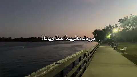 🤍🤍#♾️ #fypシ #F #شعر #هواجيس 
