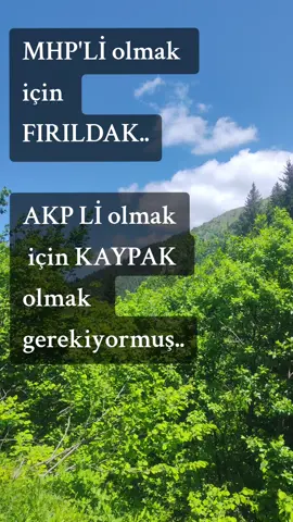 yok ben almyayım#alevilik #kürtolmak #türkolmak #keşfetteyiz⚔️⚔️⚔️ #keşfetteyiz⚔️⚔️⚔️ 