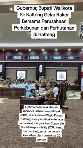 Optimalisasi pajak daerah, membeli Bahan Bakar Minyak (BBM) resmi melalui Wajib Pungut Kalteng, memprioritaskan tenaga kerja lokal,menjalankan Corporate Social Responsibility (CSR) yang bermanfaat, serta memenuhi kewajiban plasma minimal 20 persen.