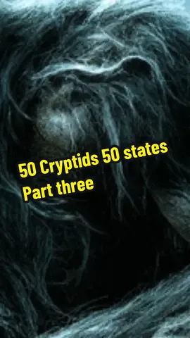 #50states #cryptids #trivia #guess #fyp 