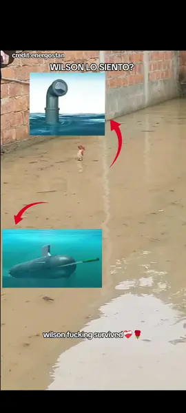 bro thinks he's a submarine  #submarine #chicken #memestiktok #goofybroo #fyp 