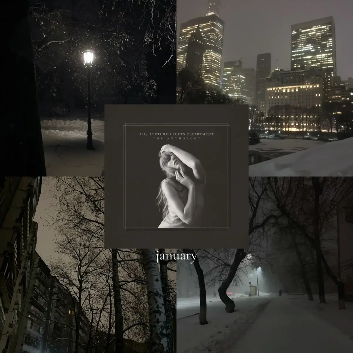 now that we've got 12 albums each one can be affiliated with a month,, this is what i came up with #taylorswift #aesthetic #albumaesthetic #tloas #taylornation 