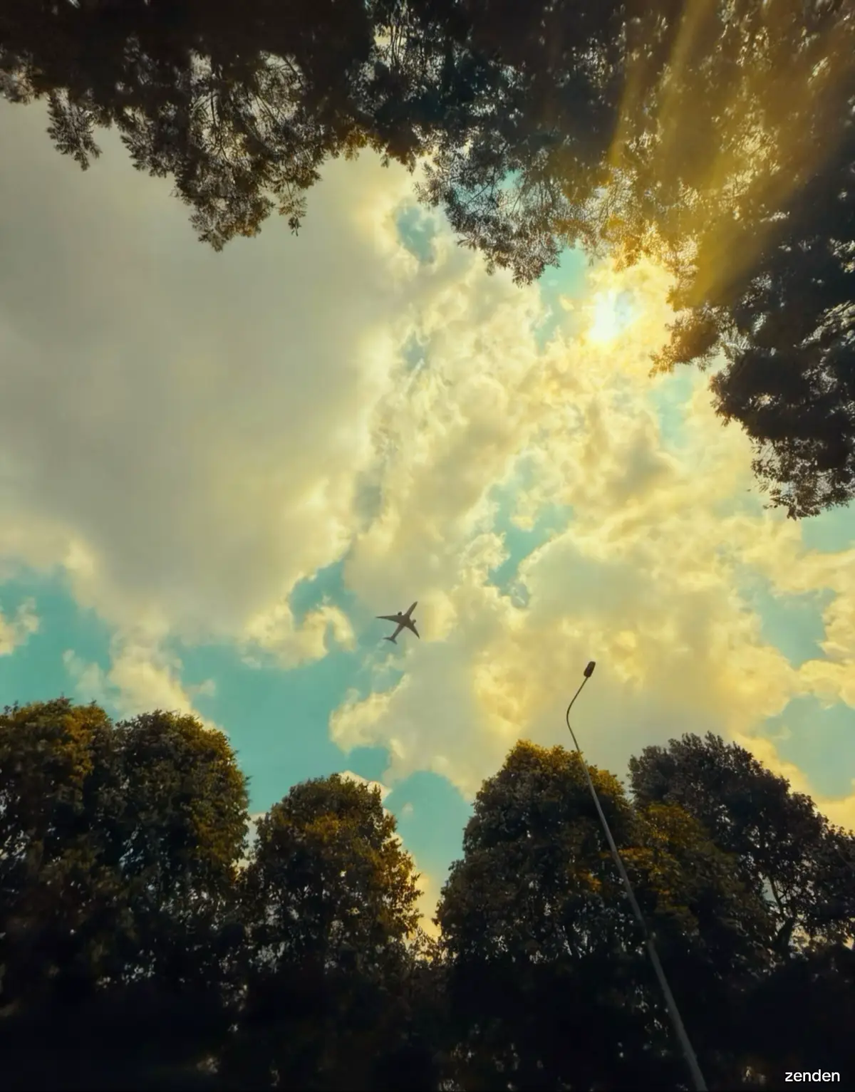 我过去的错误每晚都会涌现出来, 这确实让我感到很痛苦, 还夹杂着一点心痛。