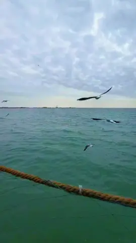 Қадіріңді біл , Өзіңді құрметте ☝️  Құрманай Бақтиярқызы 