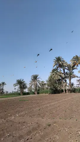 اول ما رنيت عليه بعتلي ١٠ يحرصو الغيط  ربنا يخليك لينا يا سيسي 