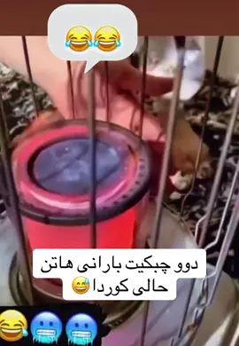 #fyppppppppppppppppppppppp #foruyou #fypage #زاخو_دهوك_هولير_سليماني_ئاكري_سيمي 