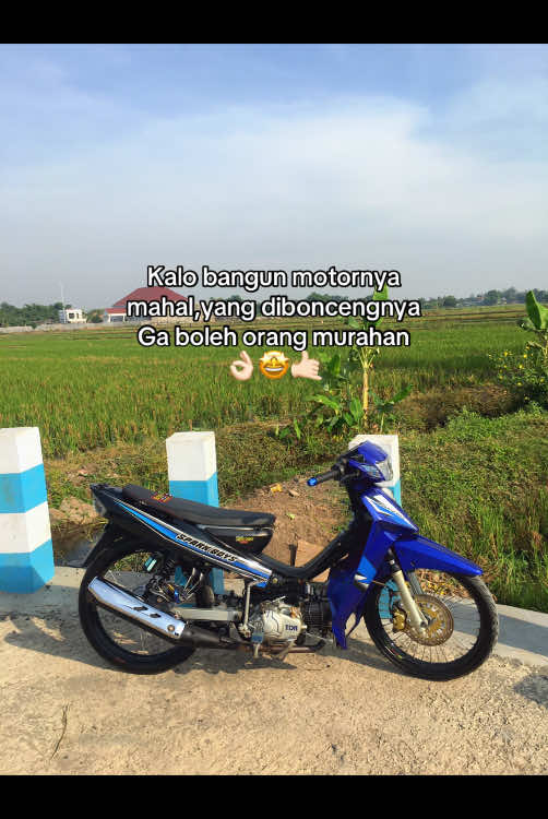 Gimana cocok?🤙🏻 #vegablueboys💙 #agstyle #samlong🇹🇭 #mothaipasuruan #fyp 