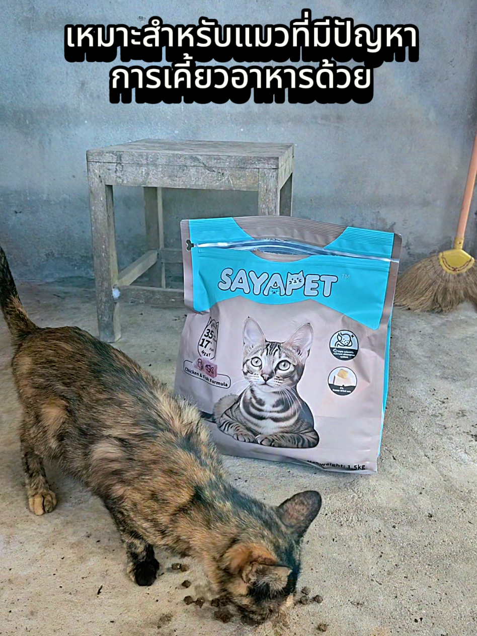 ถุงใหญ่ ราคาคุ้ม #อาหารแมว #อาหารเม็ดแมว #อาหารเม็ด 