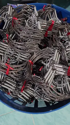 กับดักหนูนา6นิ้วโมแล้วสวยๆ