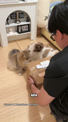 Ipeh stress katanya guys @SPayLater Indonesia #LebihMudahPakaiSPayLater #SPayLater #SPayLaterBayarQRIS